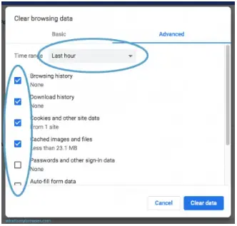 Clear Browsing Data history Cache and Cookies