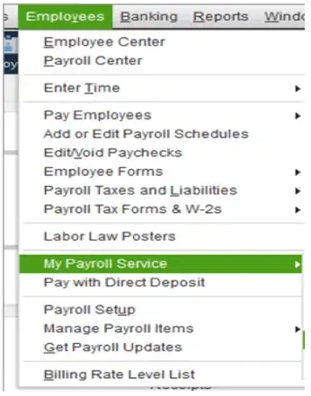 My payroll services