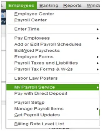 move to the Employees menu and choose the My Payroll Service option